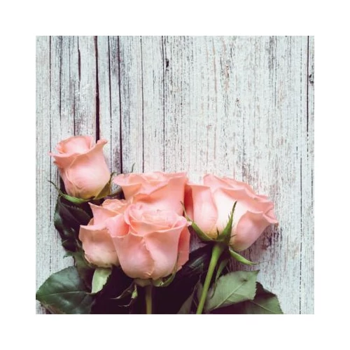 Üveg - kép infrapanel Fenix ECOSAN 300 G (300 W) Képes kivitel - Roses